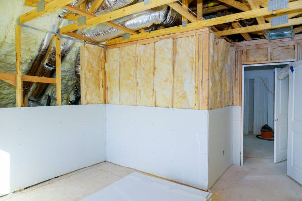 Types of Insulation We Offer in Gotha, FL