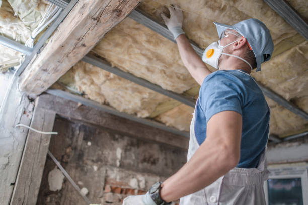 Best Spray Foam Insulation in Gotha, FL