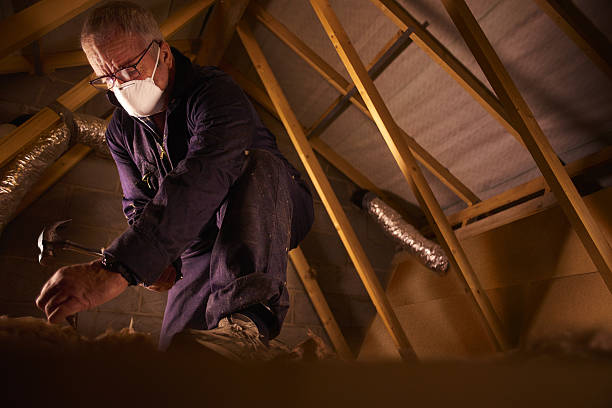 Best Energy Efficiency Insulation in Gotha, FL