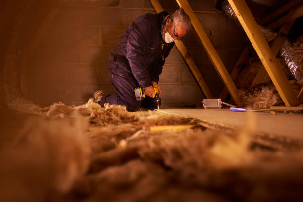 Best Fiberglass Insulation in Gotha, FL